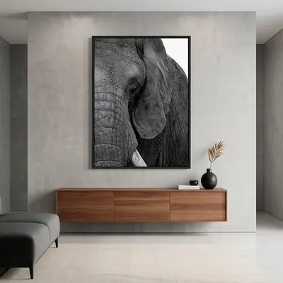 Categoría ELEPHANT