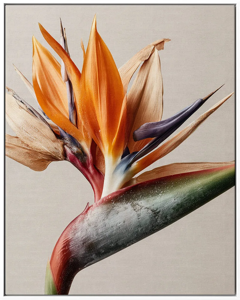 FLOWER 0163 — FLOWER