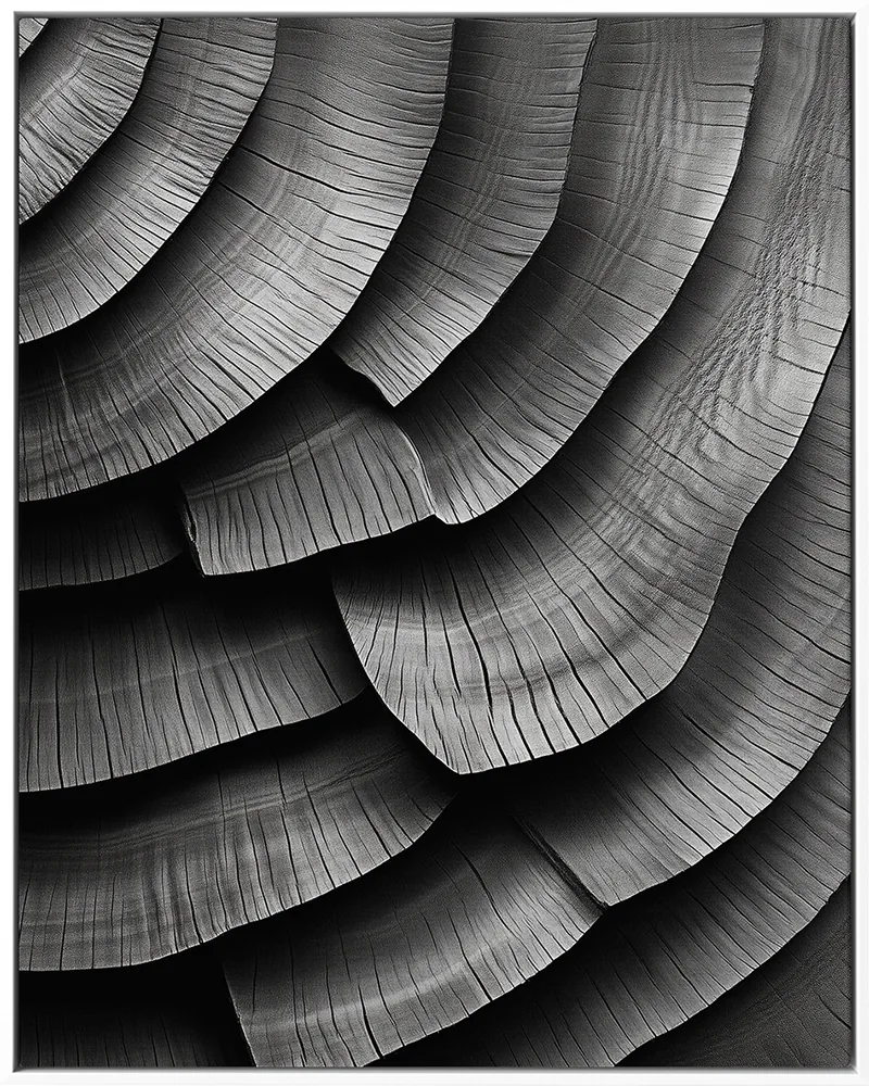 FORMS 0011 — FORMS