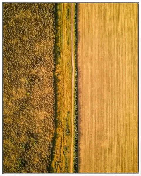 AERIAL 0002 — AERIAL, Pintura