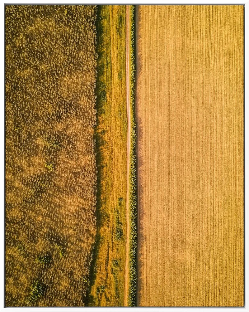 AERIAL 0002 — AERIAL