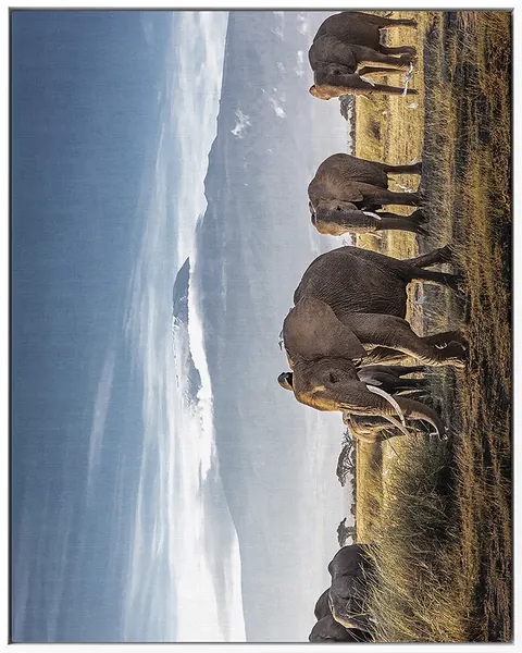 ELEPHANT 0034 — ELEPHANT, Pintura