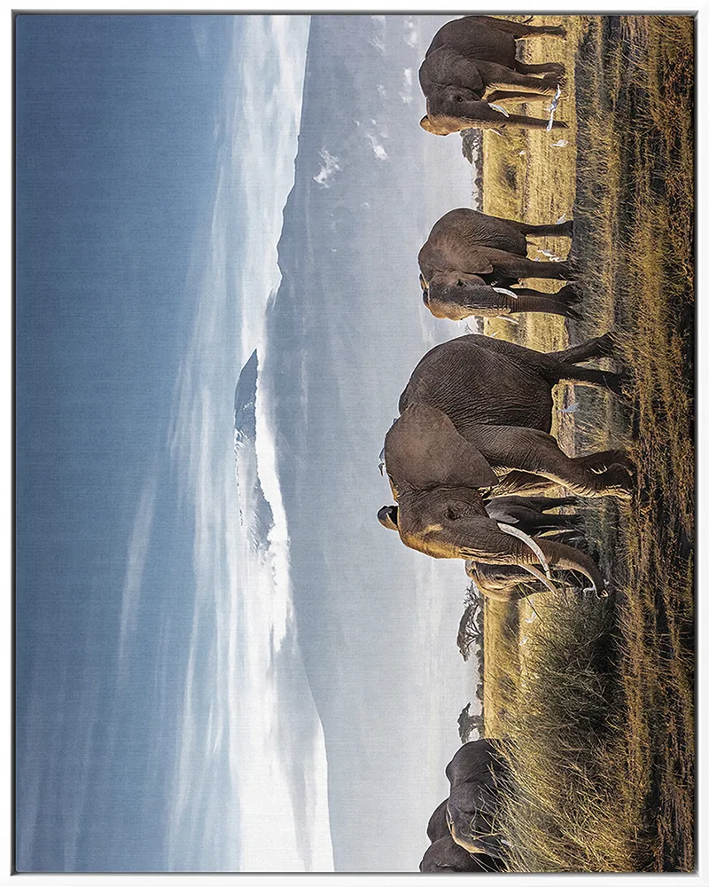 ELEPHANT 0034 — ELEPHANT