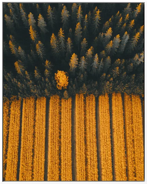 AERIAL 0003 — AERIAL, Pintura