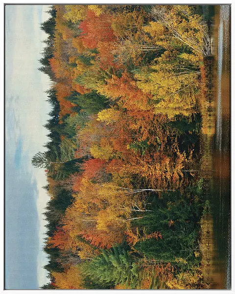 FOREST 0016 — FOREST, Pintura