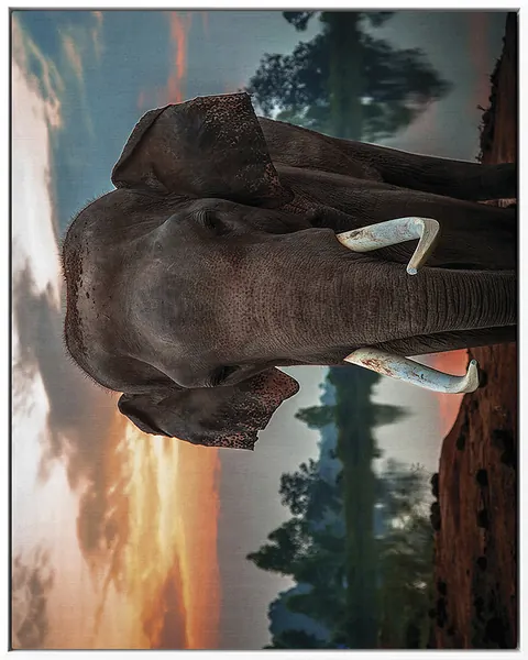 ELEPHANT 0021 — ELEPHANT, Pintura