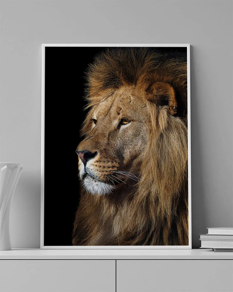 LION 0002 ambientado en una pared