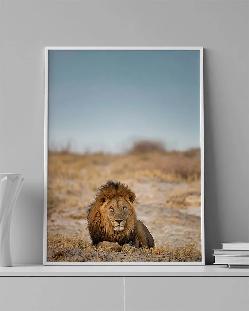 LION 0014 ambientado en una pared