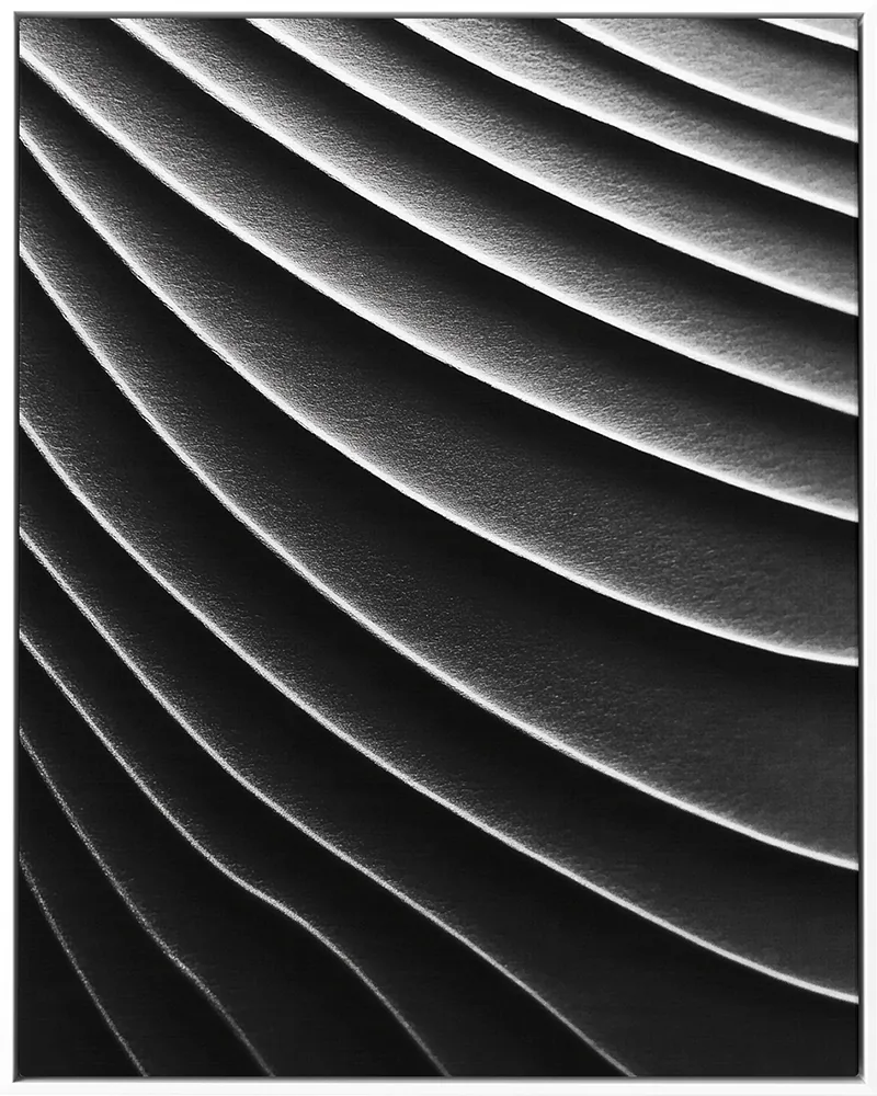 FORMS 0021 — FORMS