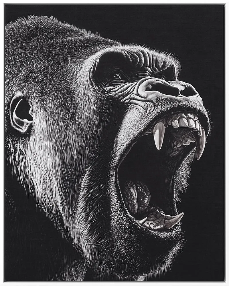 MONKEY 0038 — MONKEY