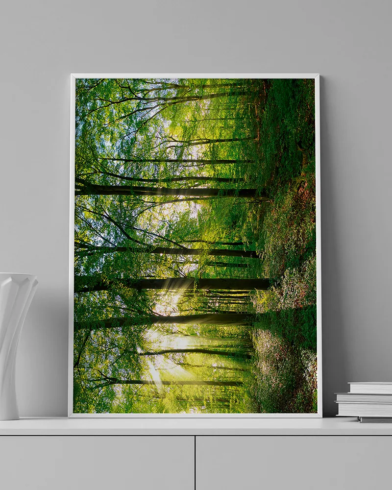FOREST 0005 ambientado en una pared