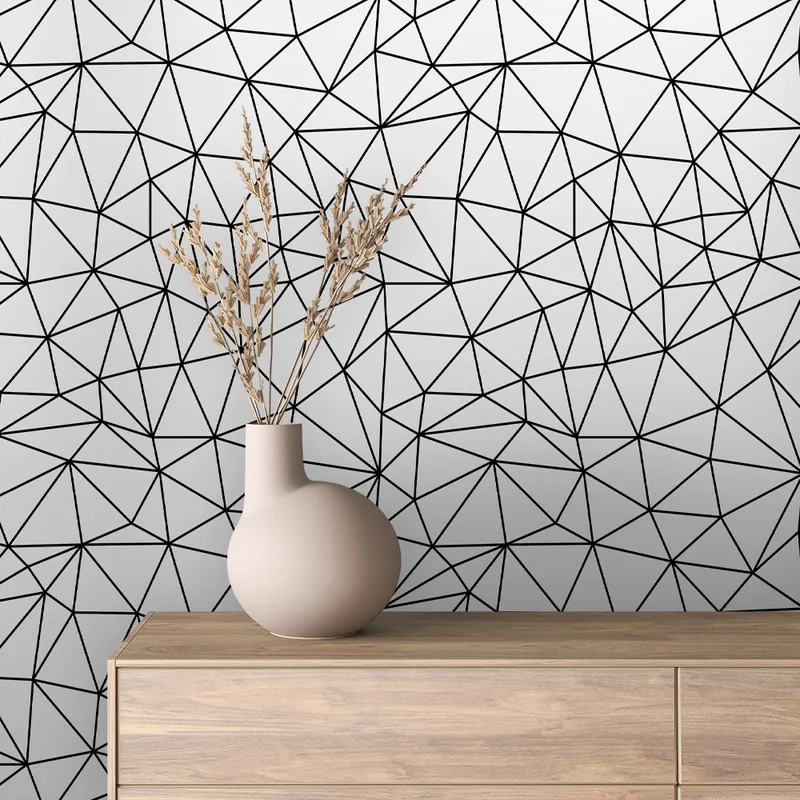 GEOMETRIC 0096 ambientado en una pared