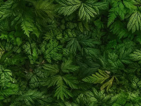 LEAVE 0007 — LEAVES, Mural