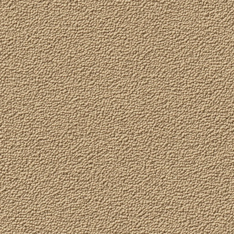 TEXTURE 0041 — TEXTURE