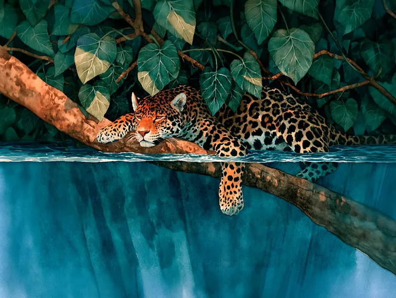 WILD 0025 — WILD