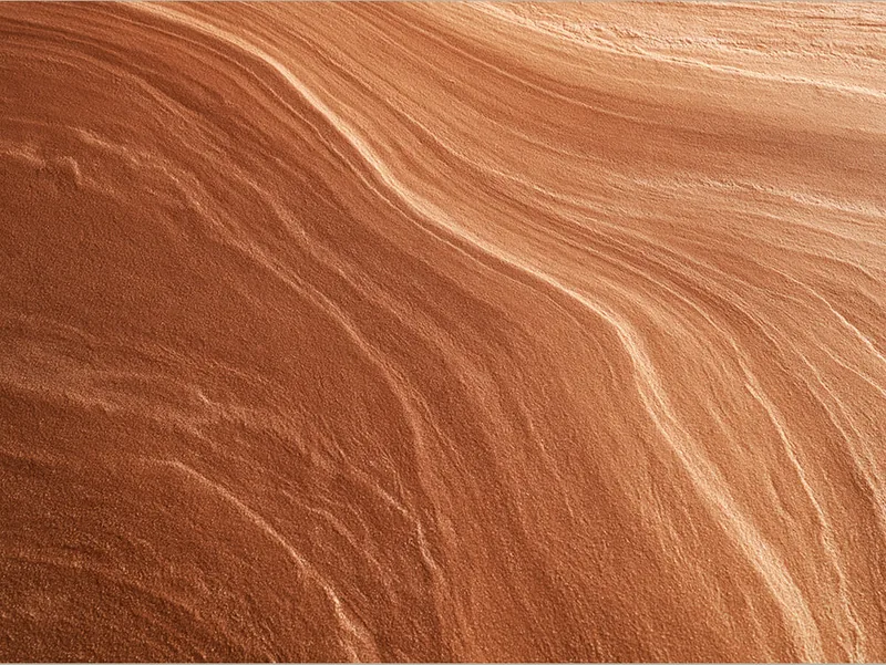 TEXTURE 0081 — TEXTURE